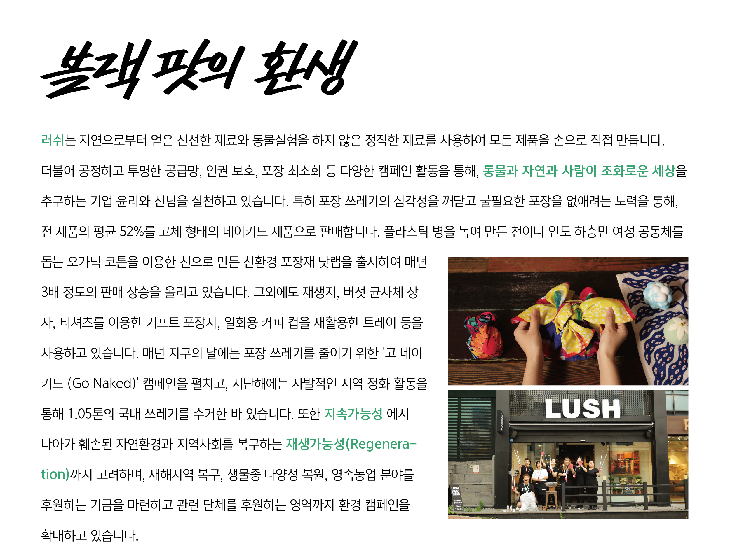 공병 수거 제도 '블랙 팟의 환생'-0