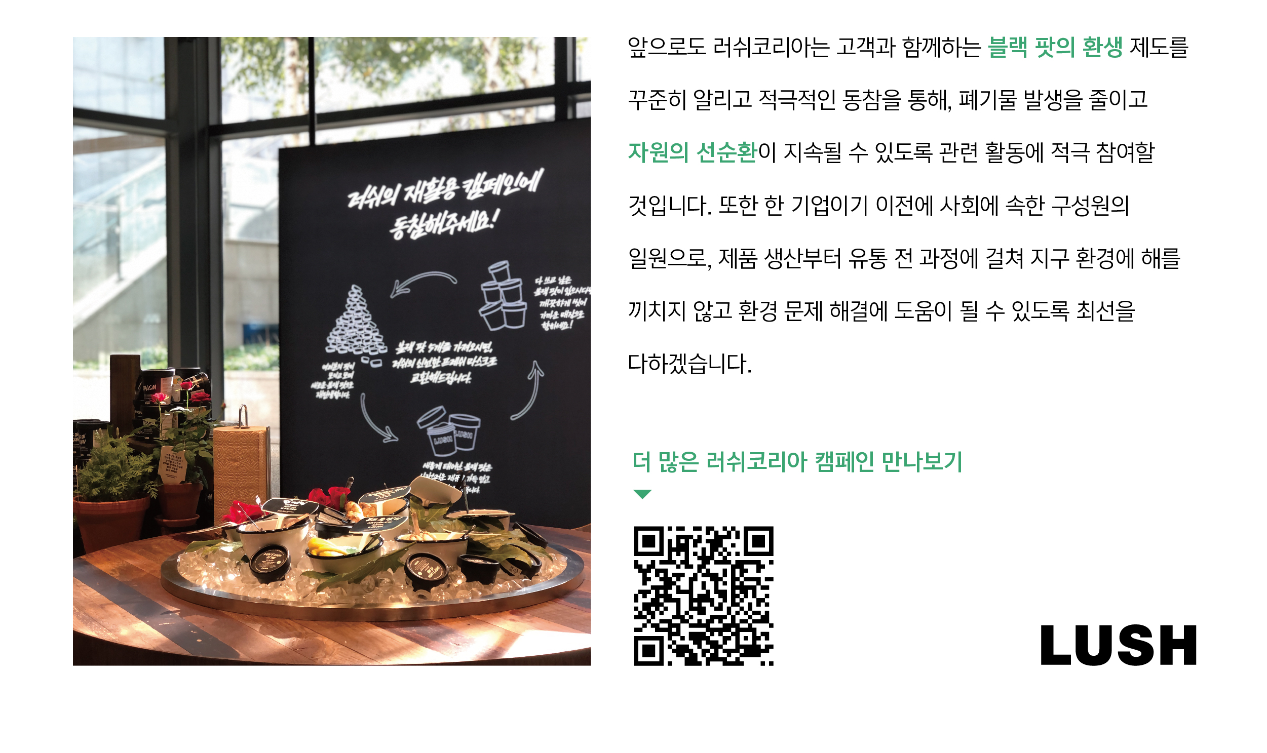 공병 수거 제도 '블랙 팟의 환생'-3